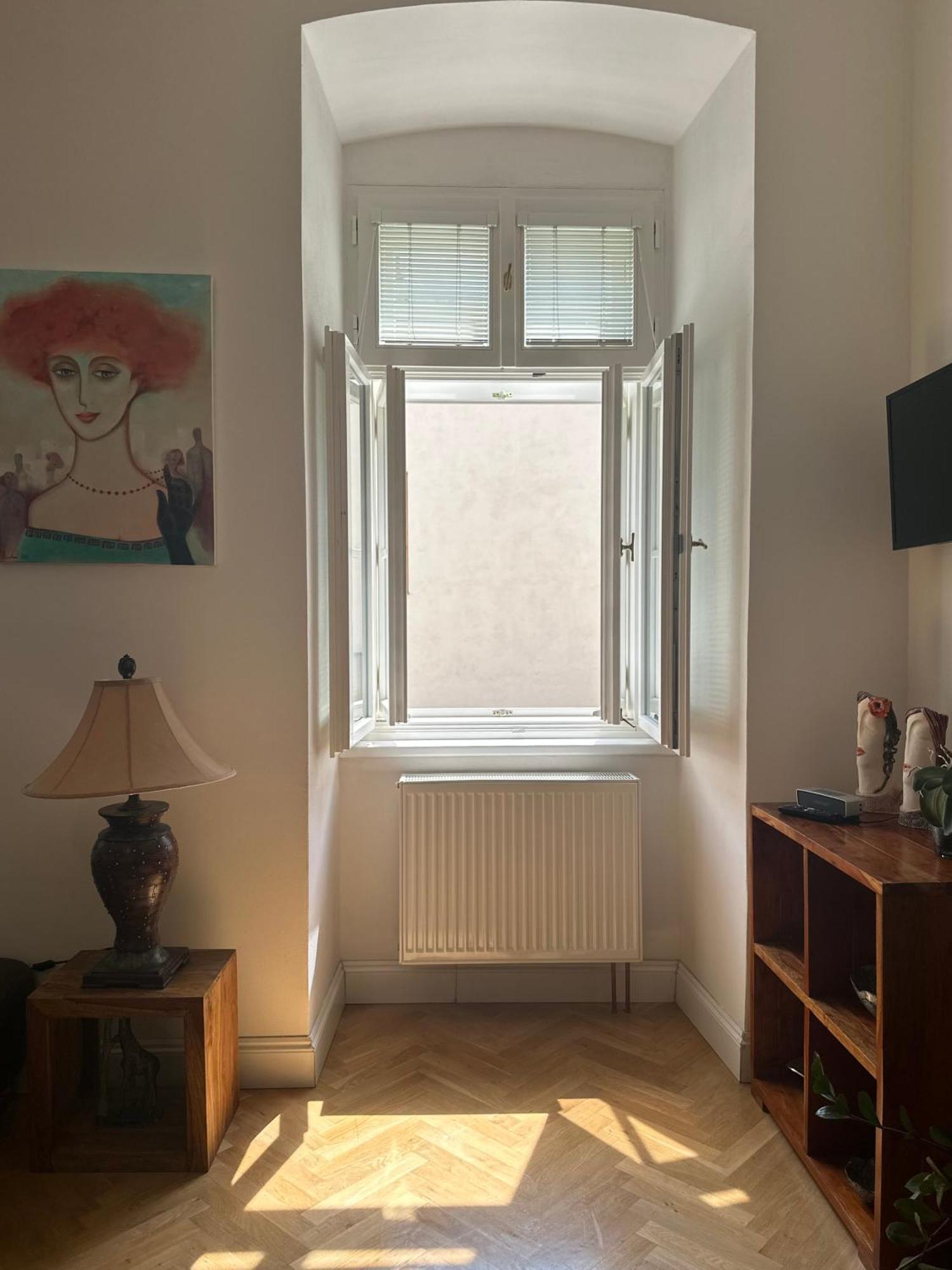 Comfort Apartment Brno-City Center מראה חיצוני תמונה